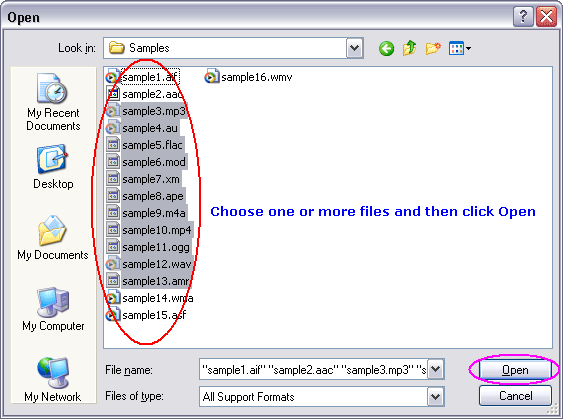 Choose one or more WV files you want to convert